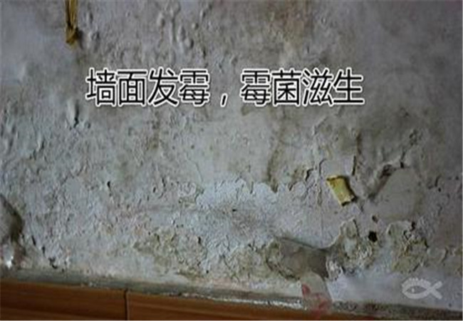 墙面渗水的原因到底是什么？墙面渗水的时候我们应该怎样去解决？